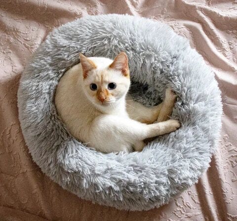 CalmHaven Anti-Anxiety Pet Bed