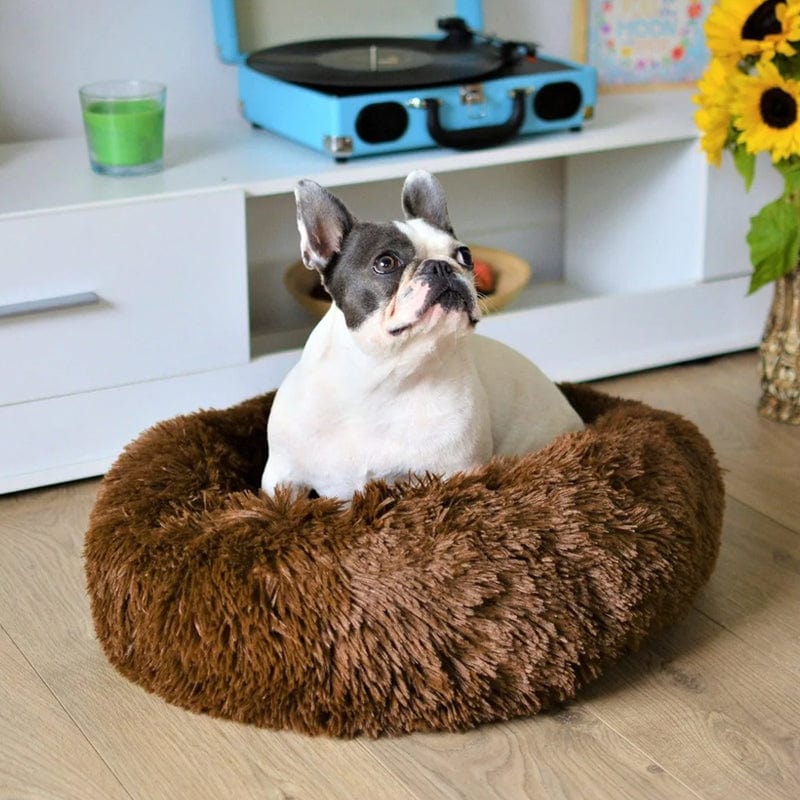 CalmHaven Anti-Anxiety Pet Bed