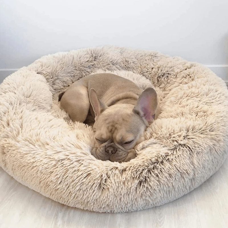CalmHaven Anti-Anxiety Pet Bed