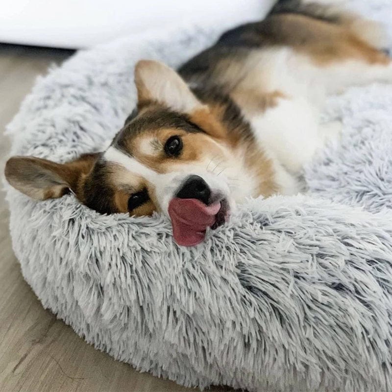CalmHaven Anti-Anxiety Pet Bed