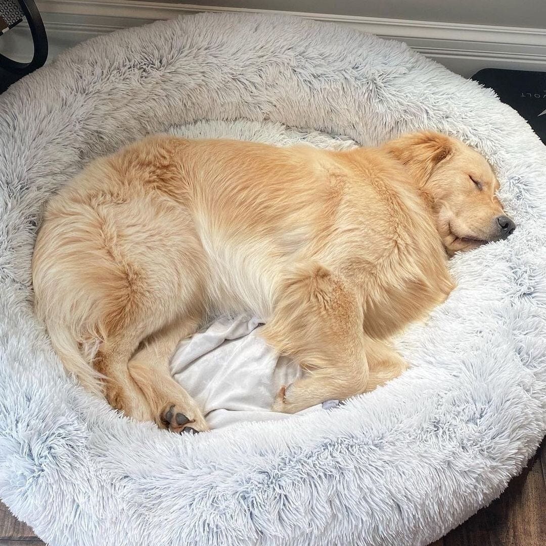 CalmHaven Anti-Anxiety Pet Bed
