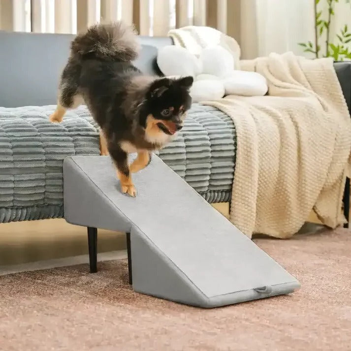Dual-Function Dog Ramp & Step Stool