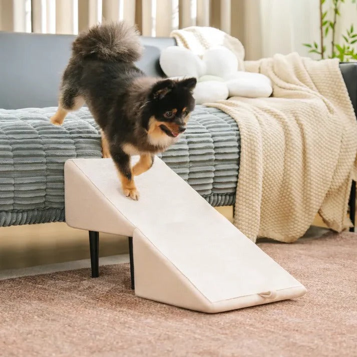 Dual-Function Dog Ramp & Step Stool