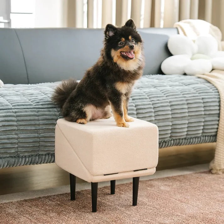 Dual-Function Dog Ramp & Step Stool