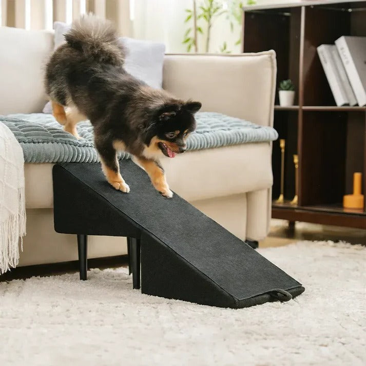 Dual-Function Dog Ramp & Step Stool
