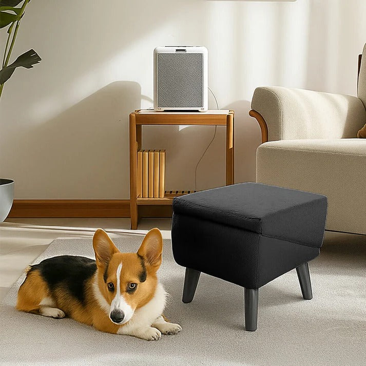 Dual-Function Dog Ramp & Step Stool