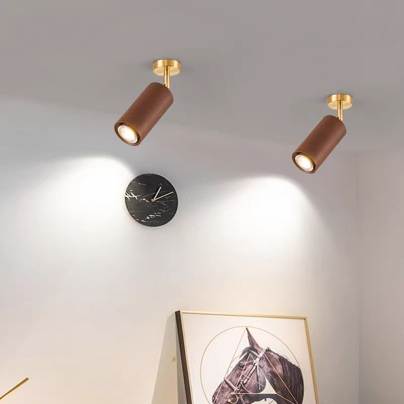 Wooden Radiance LED Track Light