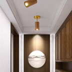 Wooden Radiance LED Track Light