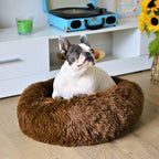 CalmHaven Anti-Anxiety Pet Bed