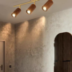 Wooden Radiance LED Track Light