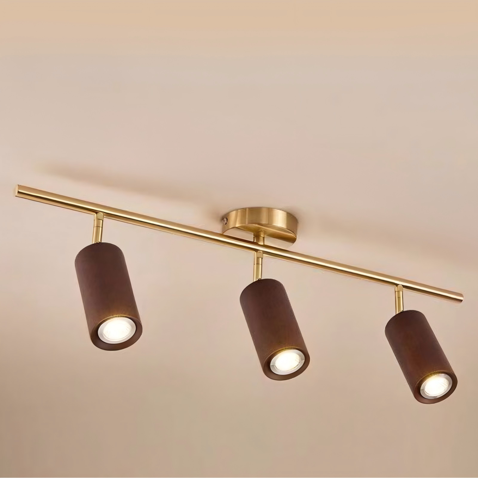Wooden Radiance LED Track Light
