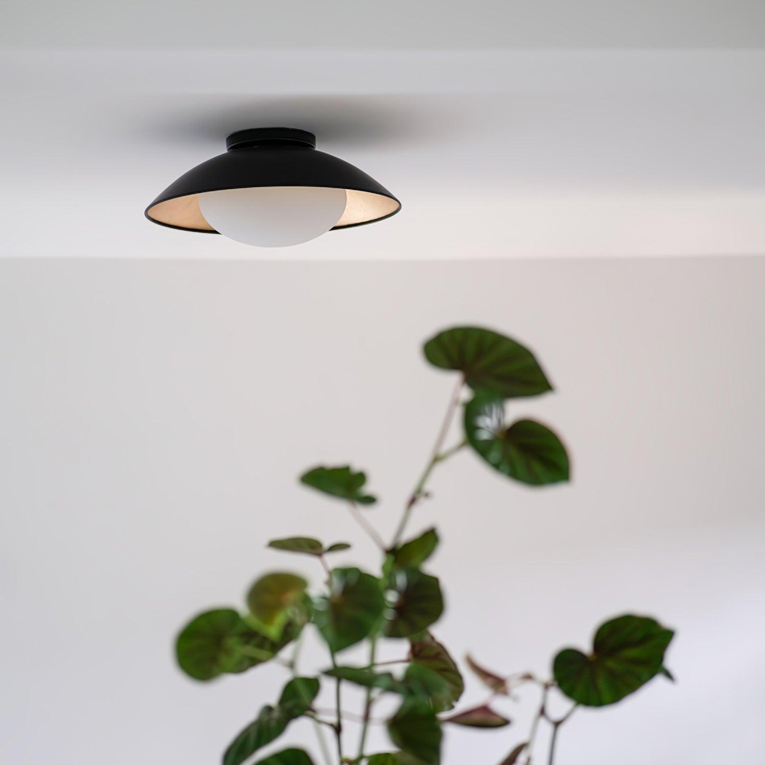 Orvella Modern Ceiling Light