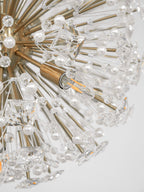 Crystal Radiance Chandelier