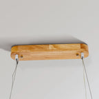 Ellipse Radiance Pendant Light