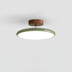 Vivara Adjustable Chromatic Ceiling Light