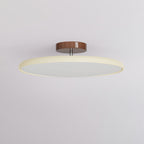 Vivara Adjustable Chromatic Ceiling Light
