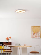 Lumea Lotus Ceiling Light | Serene Design Inspired by Nature