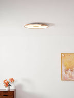 Lumea Lotus Ceiling Light | Serene Design Inspired by Nature
