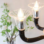 Ebony Elegance Chandelier