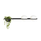 Liora Dual Globe Wall Light | Elegant Indoor & Outdoor Illumination
