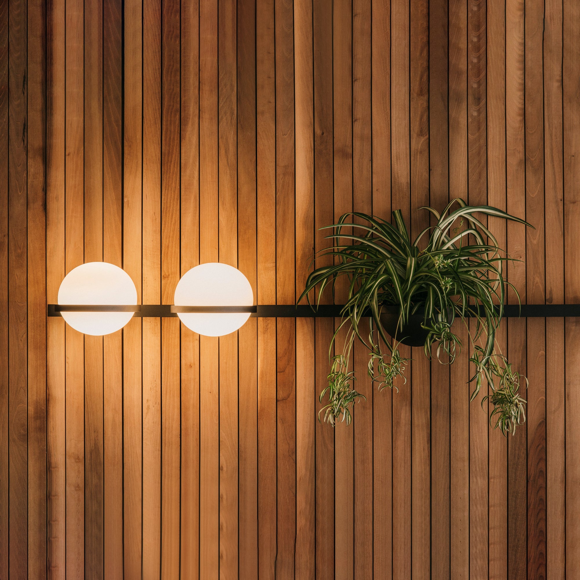 Liora Dual Globe Wall Light | Elegant Indoor & Outdoor Illumination