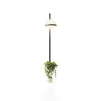 Liora Dual Globe Wall Light | Elegant Indoor & Outdoor Illumination