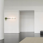 Liora Dual Globe Wall Light | Elegant Indoor & Outdoor Illumination