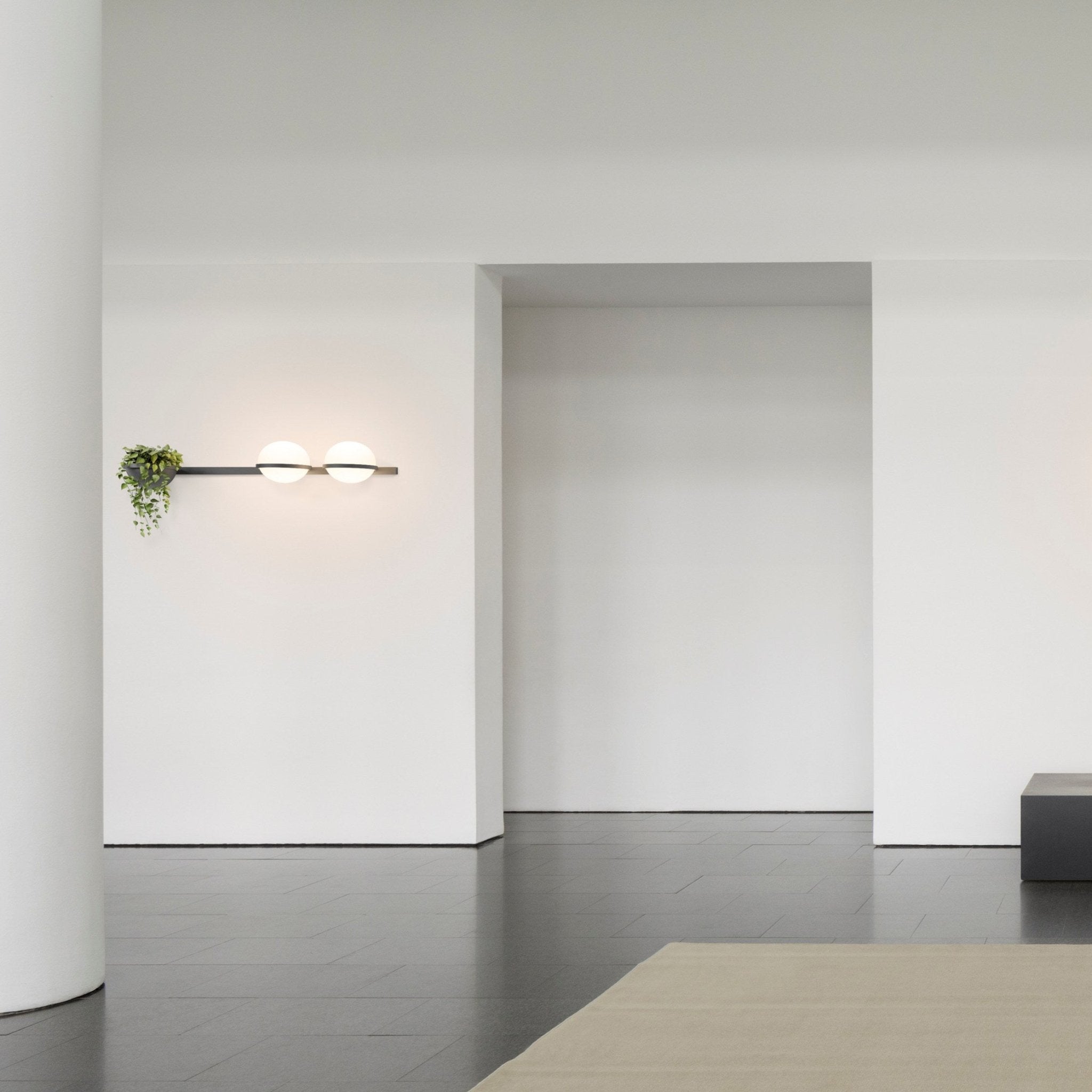 Liora Dual Globe Wall Light | Elegant Indoor & Outdoor Illumination