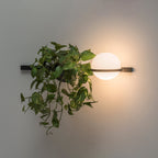 Liora Dual Globe Wall Light | Elegant Indoor & Outdoor Illumination