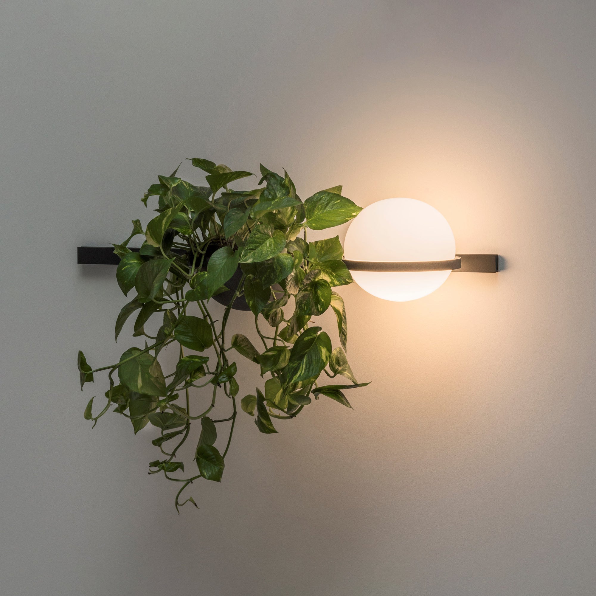 Liora Dual Globe Wall Light | Elegant Indoor & Outdoor Illumination