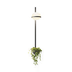 Liora Dual Globe Wall Light | Elegant Indoor & Outdoor Illumination
