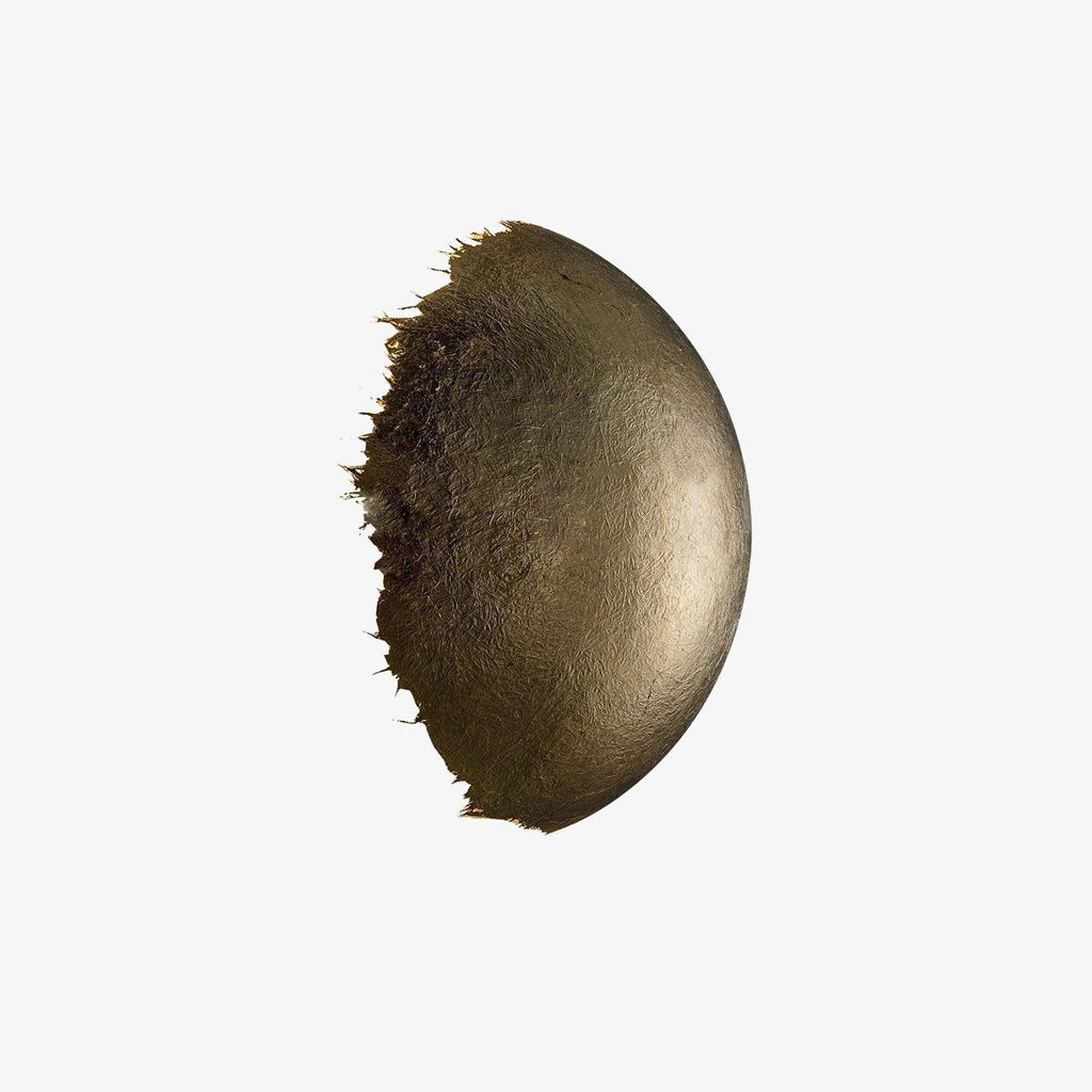 Vivid Harmony Wall Light