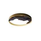 Zen Blossom Ceiling Light