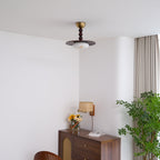 Walnut Alabaster Ceiling Light