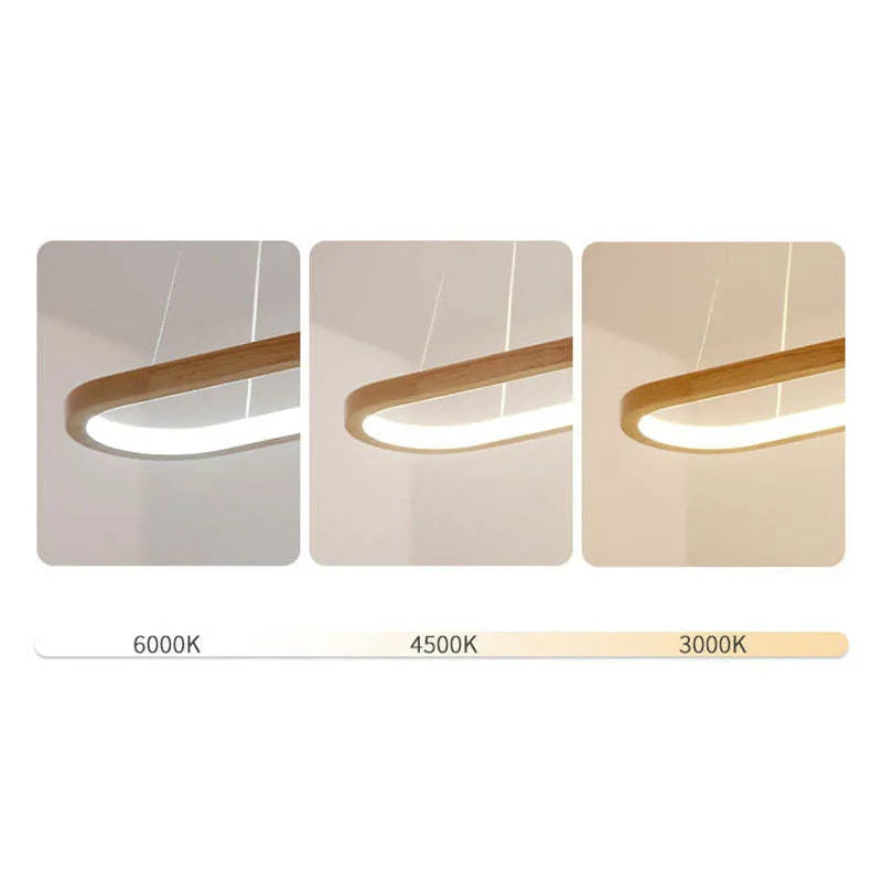 Ellipse Radiance Pendant Light