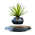 Floating Flower Pot | A Dance of Nature