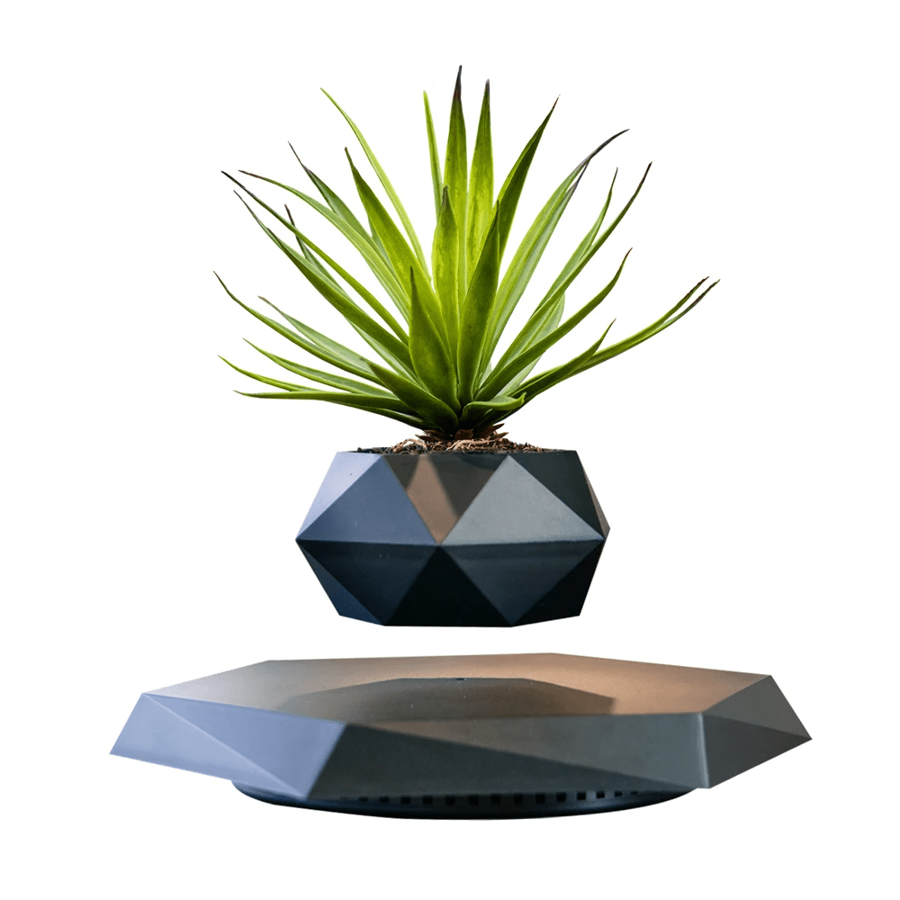 Floating Flower Pot | A Dance of Nature