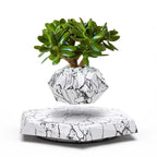 Floating Flower Pot | A Dance of Nature