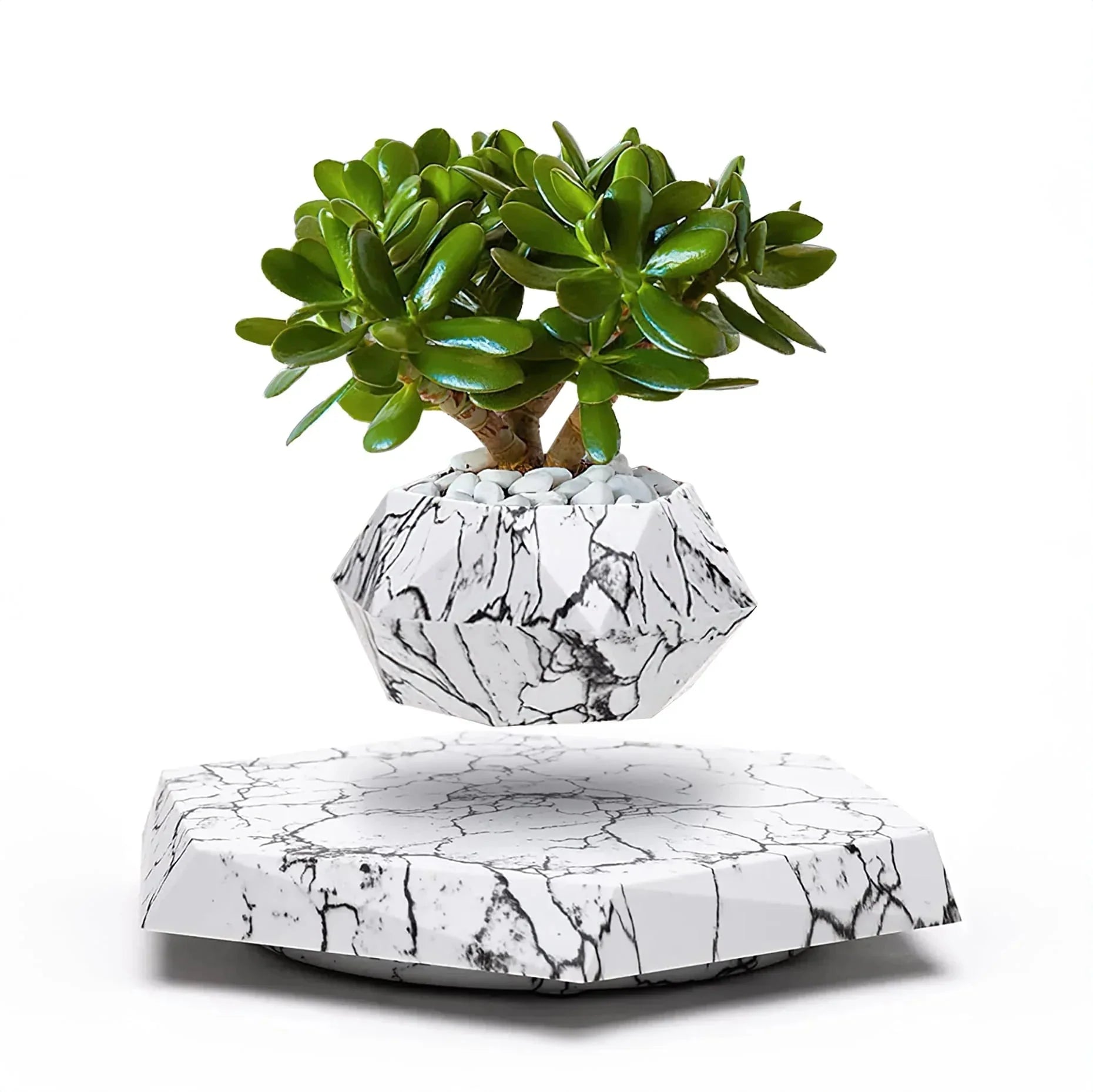 Floating Flower Pot | A Dance of Nature