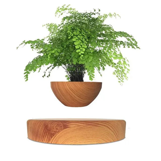Floating Flower Pot | A Dance of Nature