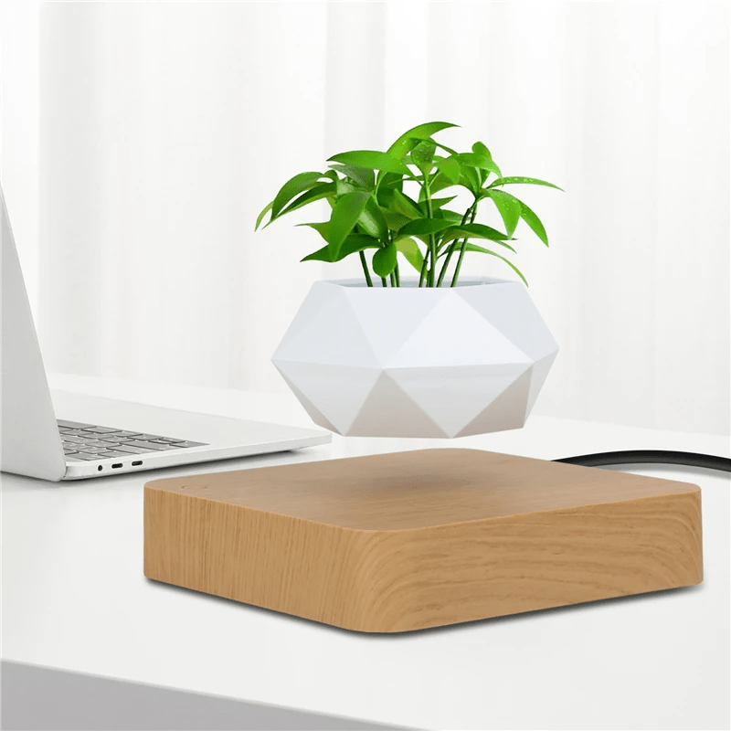 Floating Flower Pot | A Dance of Nature