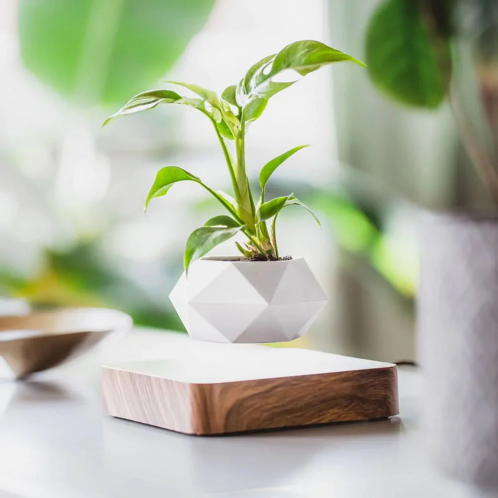 Floating Flower Pot | A Dance of Nature