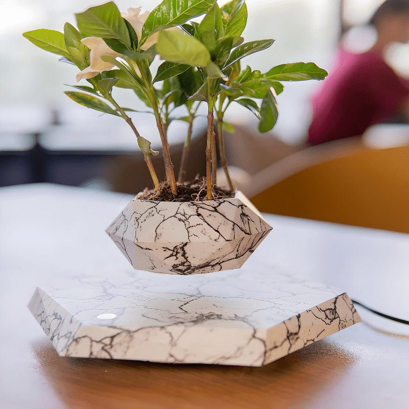 Floating Flower Pot | A Dance of Nature