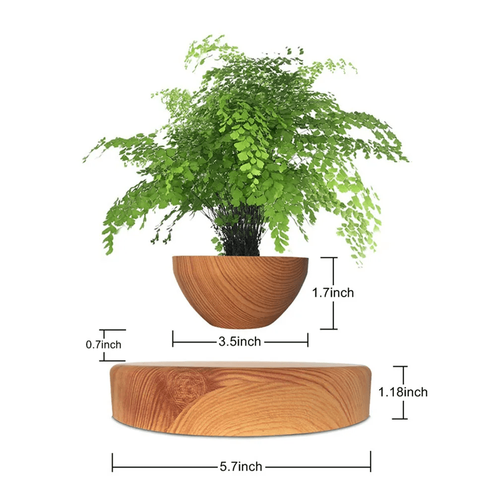 Floating Flower Pot | A Dance of Nature