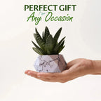 Floating Flower Pot | A Dance of Nature