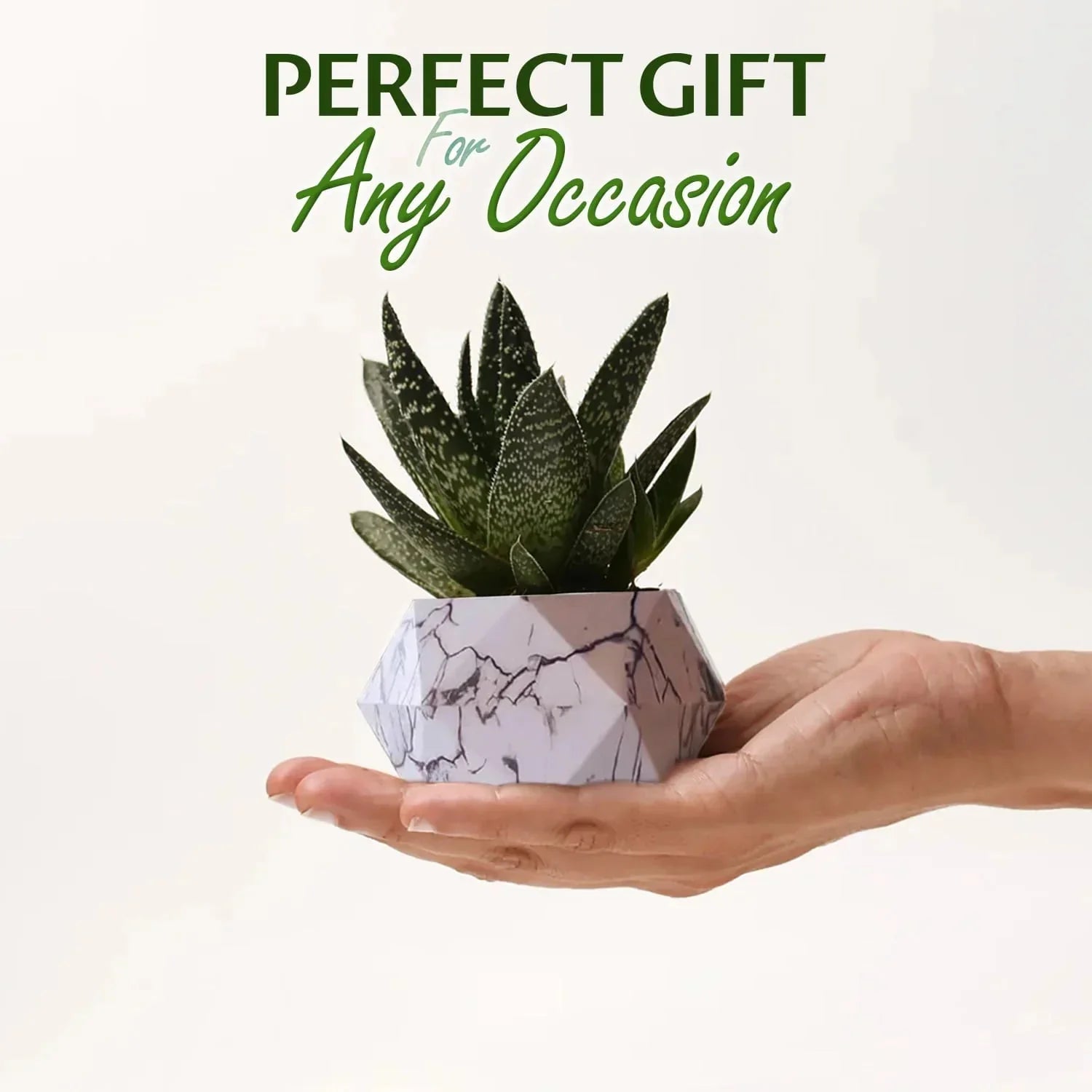 Floating Flower Pot | A Dance of Nature