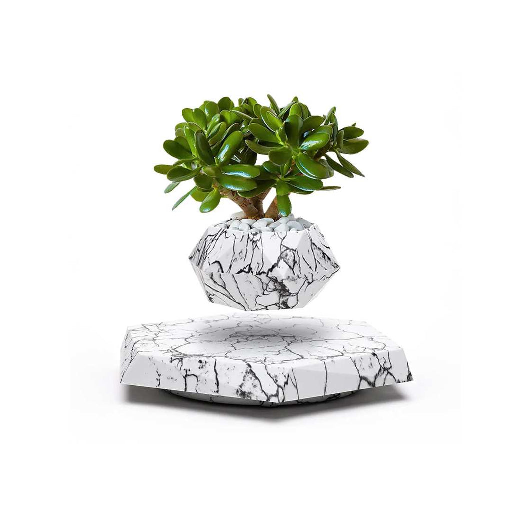 Floating Flower Pot | A Dance of Nature