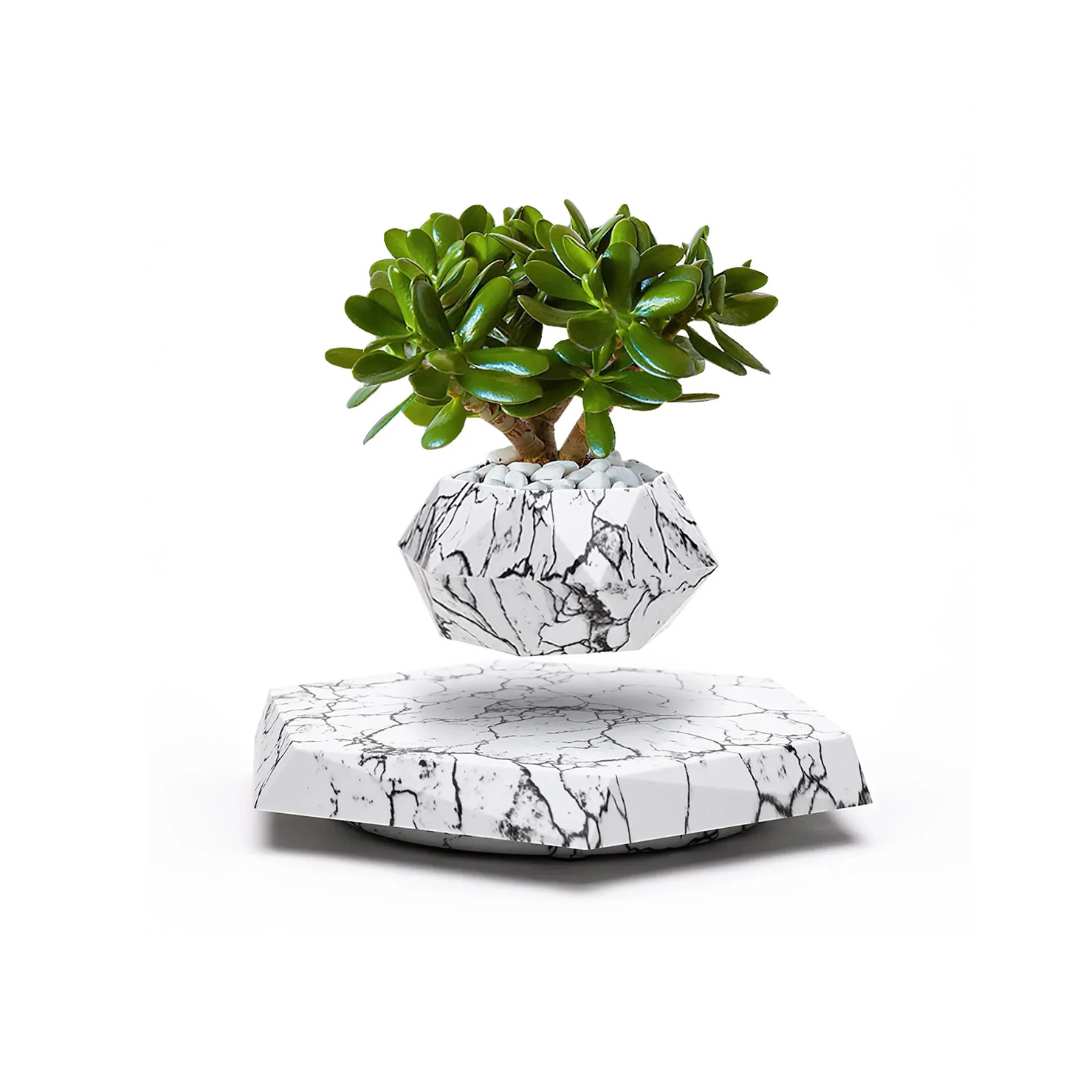 Floating Flower Pot | A Dance of Nature