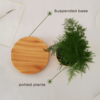 Floating Flower Pot | A Dance of Nature