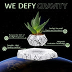 Floating Flower Pot | A Dance of Nature